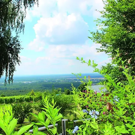 Schoene Aussicht