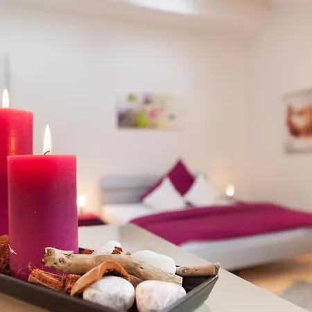 Schoene Aussicht بيت ضيافة آلتسناو اين اونترفرانكن