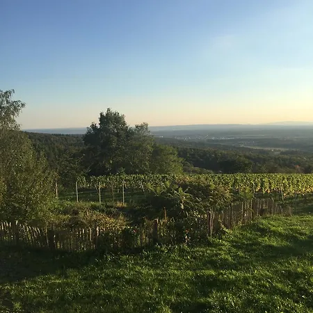 Schoene Aussicht بيت ضيافة 3*