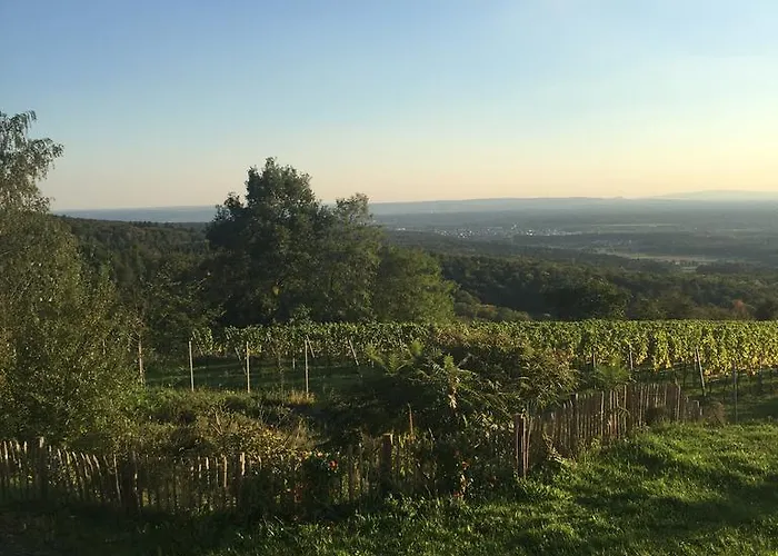 Schoene Aussicht Maison d'hôtes 4*