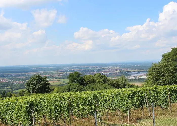 Schoene Aussicht Maison d'hôtes Alzenau